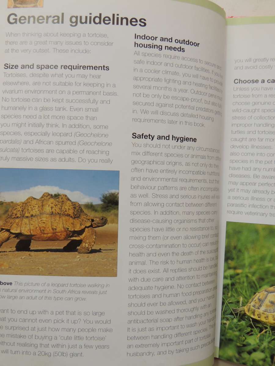 Keeping A Pet Tortoise - Andrew & Nadine Highfield