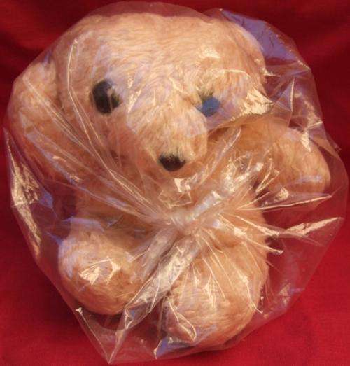 Pocket Size Teddy Bear