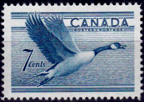 CANADA 1952, 3 Nov, Birds - Canada Goose, single, MH, CV R 20.00 view scans