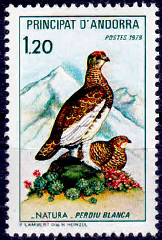 ANDORRA 1979, 7 April. Birds - Nature Protection, single, MNH, CV +/- R 30.00, view scans