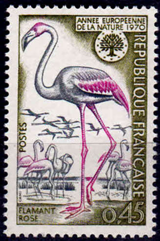 FRANCE 1970, 21 March. Birds - European Nature Conservation, single, MH, CV +/- R 10.00 view scans