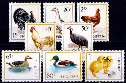 ALBANIA 1967, 25 Nov. Birds - Domestic Fowl, set, MNH, CV +/-R 125.00, view scans