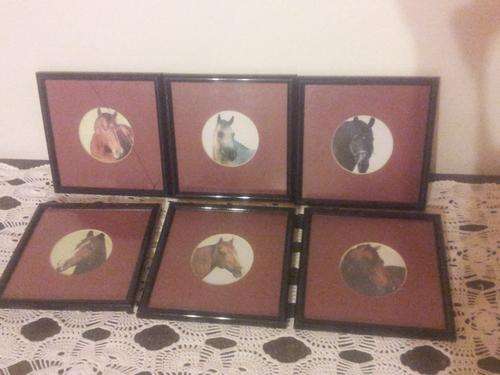 6 Photo Frames (17cm X 17cm) With Glass