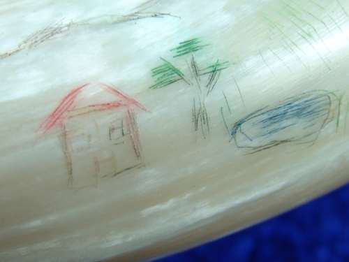 Antique Cow Horn Blackpowder Flask, possibly Boer war, very rare find