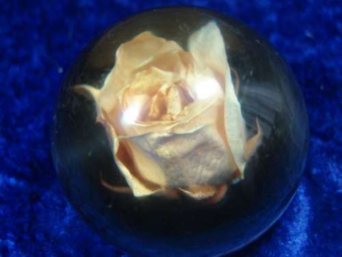 Vintage Glass and rose Paperweight - 1960's