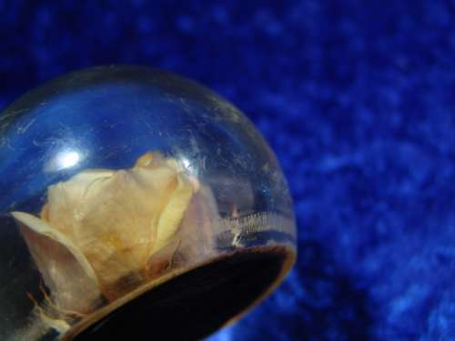 Vintage Glass and rose Paperweight - 1960's