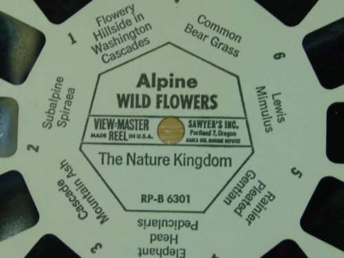 A Vintage collection of 6 "The nature Kingdom"  3D picture Reels - View Master