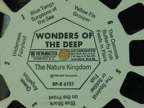A Vintage collection of 6 "The nature Kingdom"  3D picture Reels - View Master
