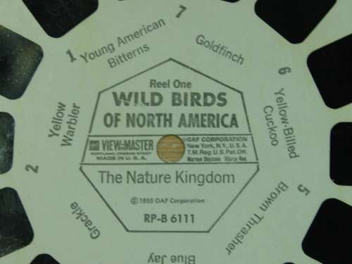 A Vintage collection of 6 "The nature Kingdom"  3D picture Reels - View Master