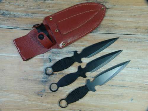 Set of 3 Ninja Knives in Pouch