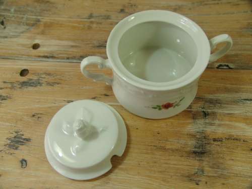 Vintage Huguenot Royale porcelain Tea Set -, 21 Piece, serves 6