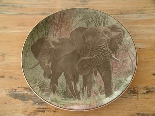 Royal Doulton, African series display plate, Elephants, D6481, 26cm diameter