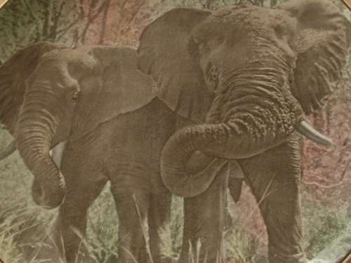 Royal Doulton, African series display plate, Elephants, D6481, 26cm diameter