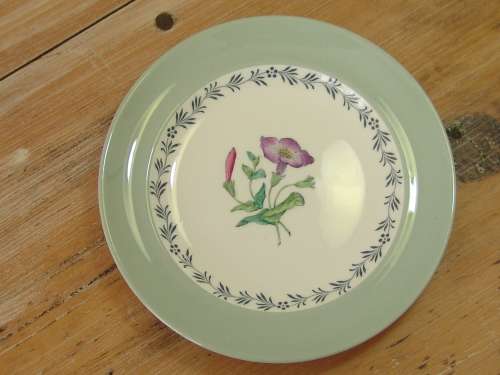 Vintage Copeland Spode china complete Tea set, S3156, 22 piece, serves 6 - 1950's