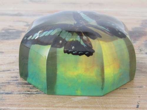 Vintage paperweight, Butterfly, 10cm diameter