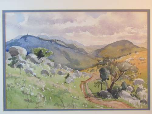 Lot of 2 original Margaret Tozer watercolour on paper Paintings behind glass and framed, 51cm x 41cm