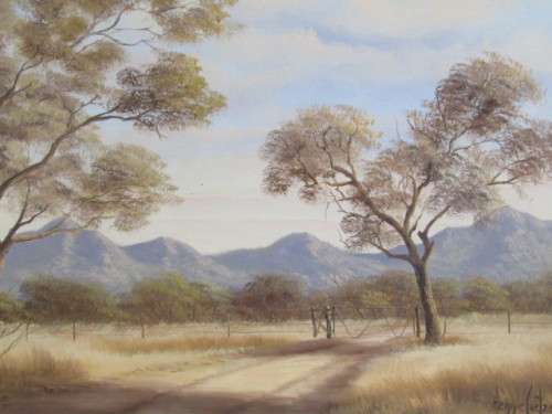 Large Original Hennie Coetzee (SA 20th) Oil on Canvas on Board Framed Painting, 65cm x 43cm