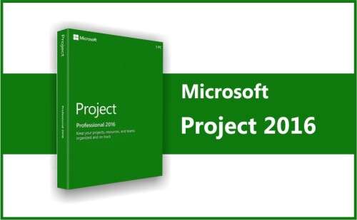Microsoft Project Professional 2016  (Lifetime Activation Licence + Download)