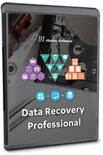 Hasleo Data Recovery Professional ( Lifetime Key Windows)