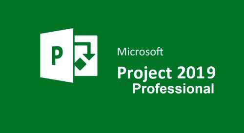Microsoft Project Professional 2019 - 1 PC Lifetime Activation License