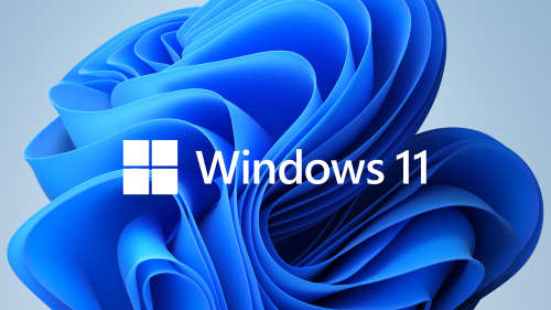 Microsoft Windows 11 Pro (Fresh Install + Lifetime Online Activation) Mid Month Special!!!