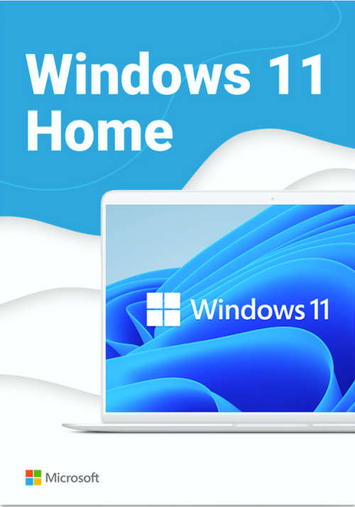 Microsoft Windows 11 Home (Fresh Install + Lifetime Online Activation)