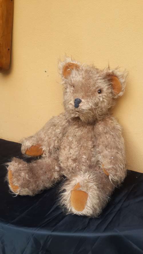 Lovely old Teddy