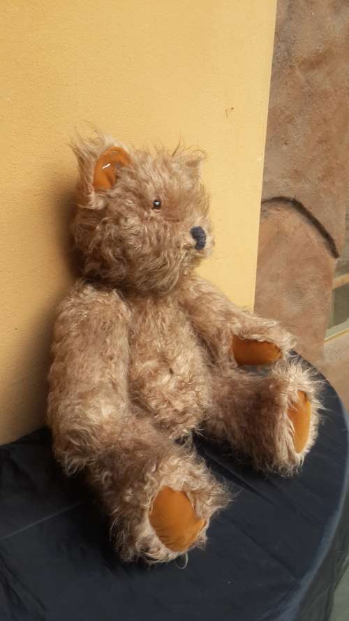 Lovely old Teddy