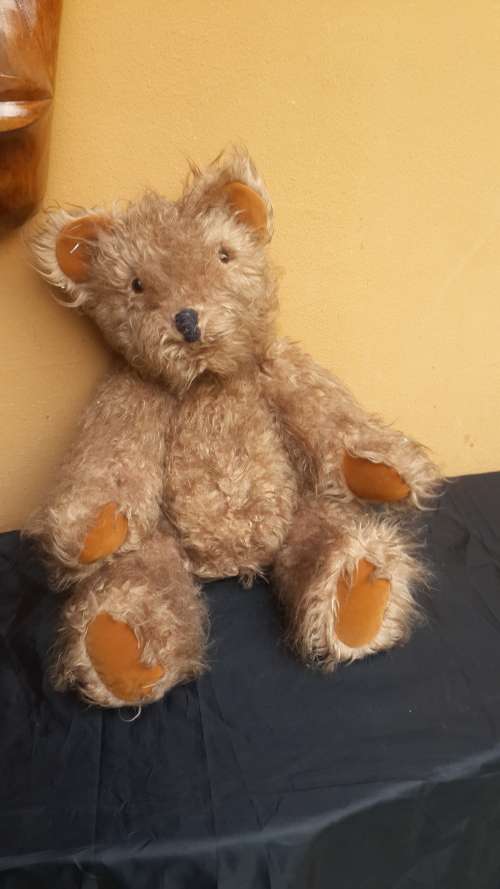 Lovely old Teddy