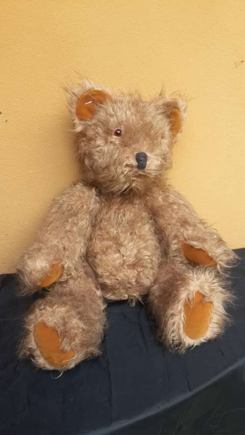 Lovely old Teddy