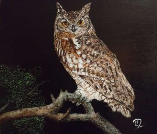 Spotted Eagle Owl - Oil painting by L J Robinson (Framed)
