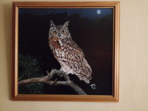 Spotted Eagle Owl - Oil painting by L J Robinson (Framed)