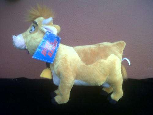 HOME ON THE RANGE - COW