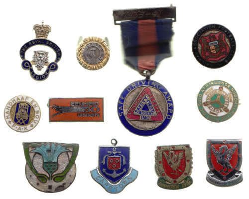 Collection of 12 Medals and Pin Badges (Mostly South African)