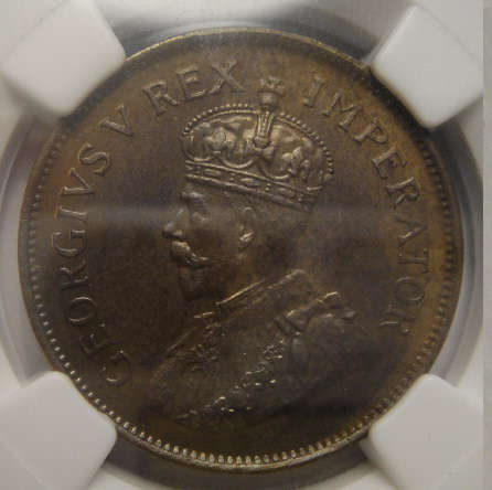 1931 Half Penny : Union of South Africa: NGC graded MS62 BN (Mint State)