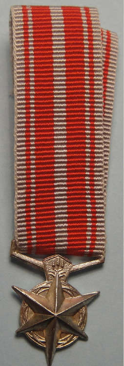 Miniature SA Police Medal for Combatting Terrorism (Two available. Bid per Medal)