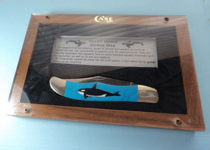 Case XX USA (1995) 6165 SS Turquoise "The Orca Whale" Folding Hunter Knife,  1 of 500