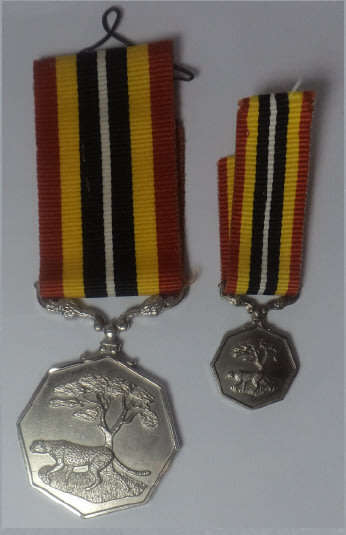 Southern African Medal numbered 008193 with the Miniature