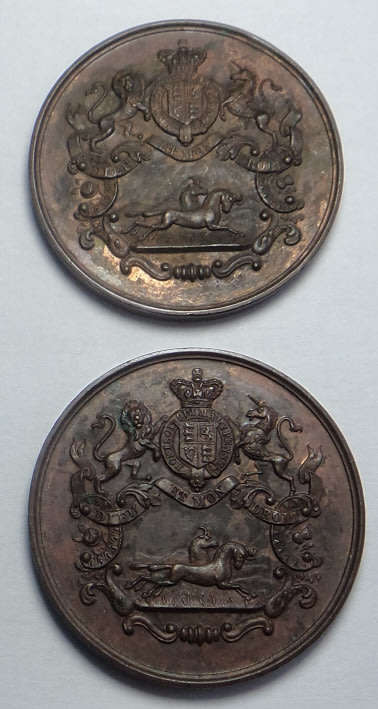 Colony of Natal: Durban & Coast Society of Agriculture & Industry Bronze Awards