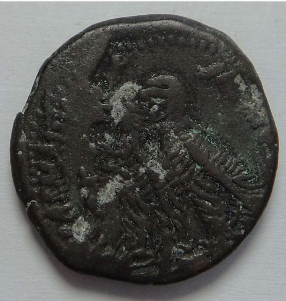 Collection of Ancient Greek & Roman Coins: Coin 8 of 8
