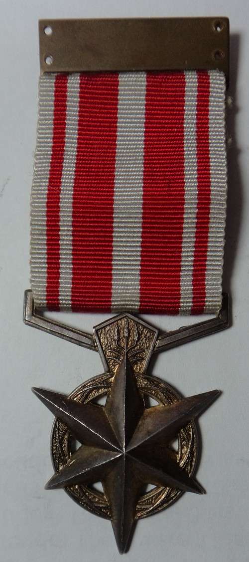 SAP Medal for Combating Terrorism to Konstabel J.M. O` Kennedy