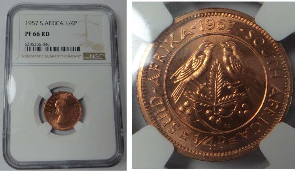 Union of South Africa: Quarter Penny 1957, NGC PF 66 RD