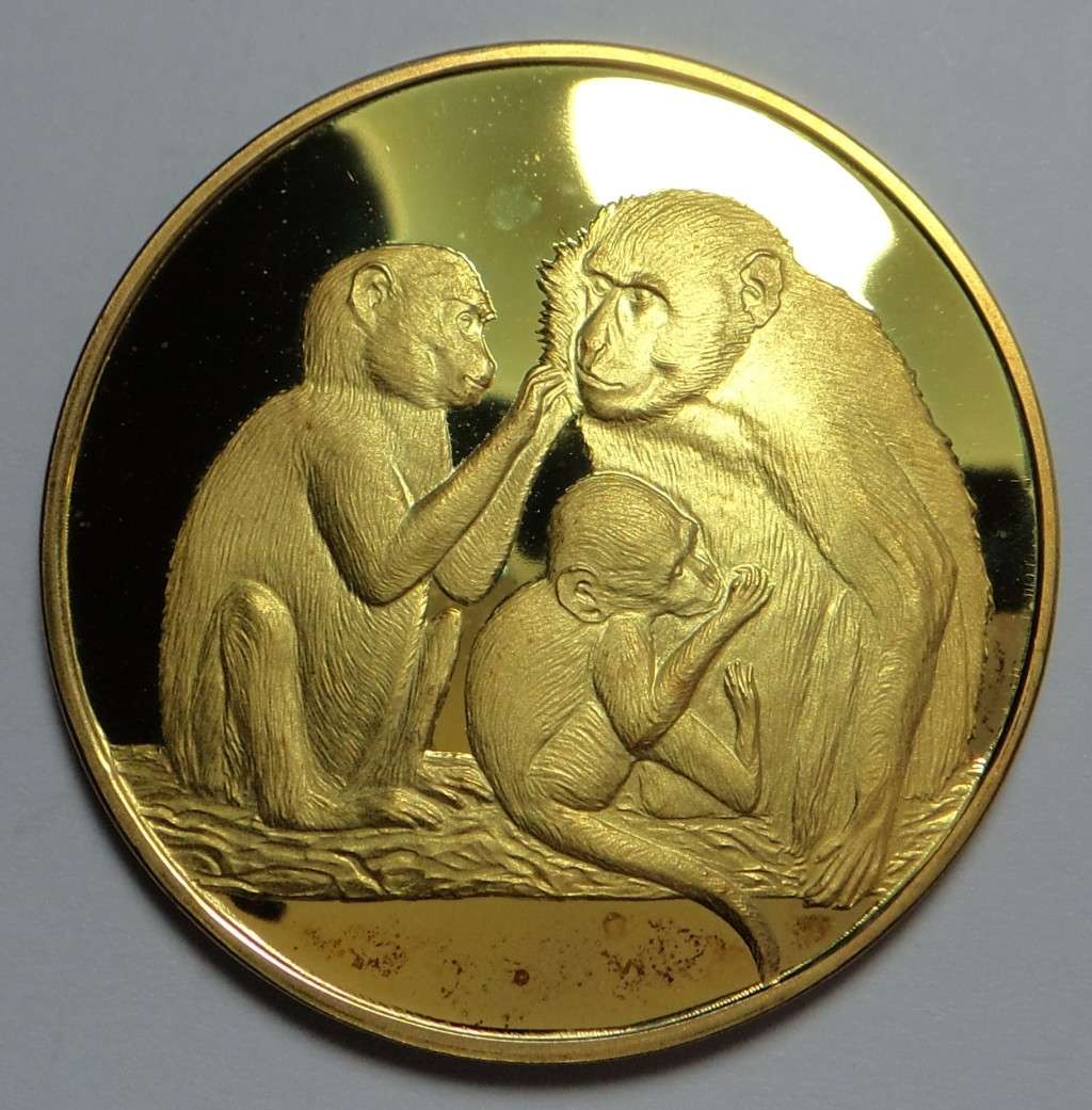 Wildlife Society Sterling Silver Medal: The Vervet Monkey