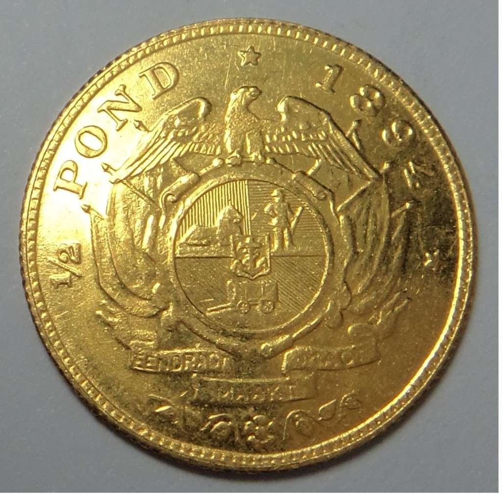 Paul Kruger casted 1894 Gold Half Pond (Levine F19)