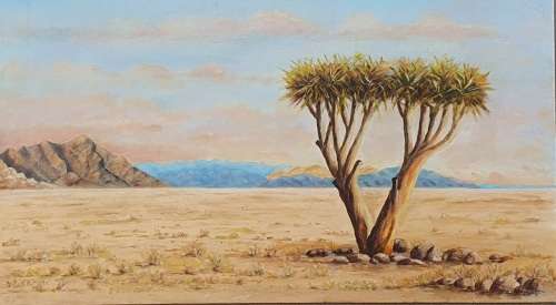 Original oil painting of a Quiver tree in Northern Cape / Namibia by A. MARX