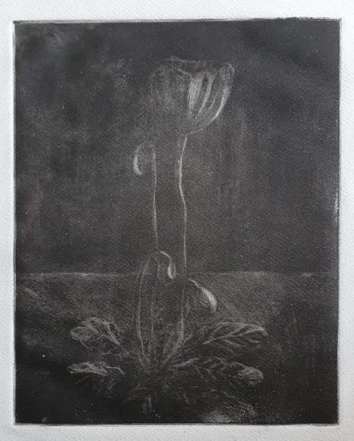 Original unframed etch of a flower by Gerrit van Schouwenburg as per photos