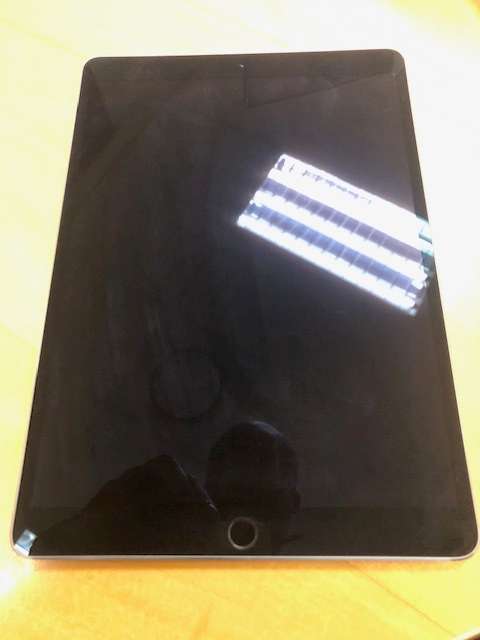 Genuine Apple iPad Pro