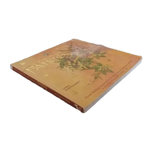 How To Draw And Paint Fairies by Linda Ravenscroft 2005 Softcover