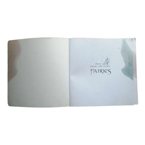 How To Draw And Paint Fairies by Linda Ravenscroft 2005 Softcover