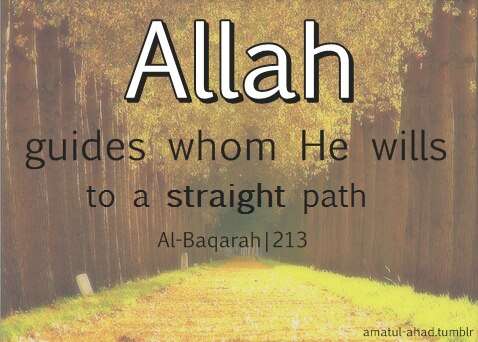 A Complete Guide to Allah EBOOK (Free download)